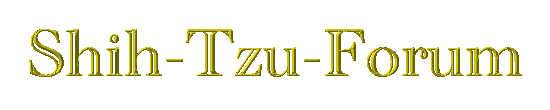 zu den Profis
