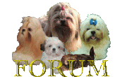  Foren-�bersicht
